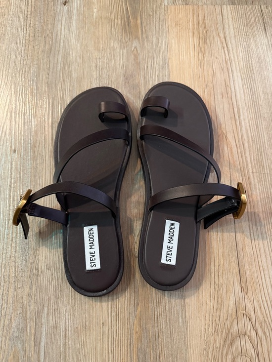 Steve Madden Shoes - Steve Madden Dark Brown Strappy Buckle Sandals